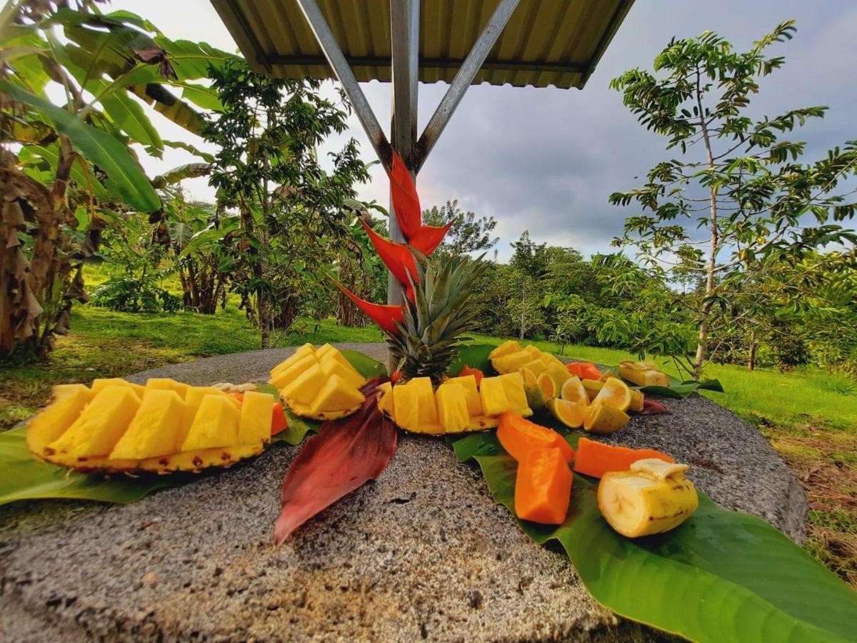 Cabanas Montanas Del Tenorio Rio Celeste Exterior photo