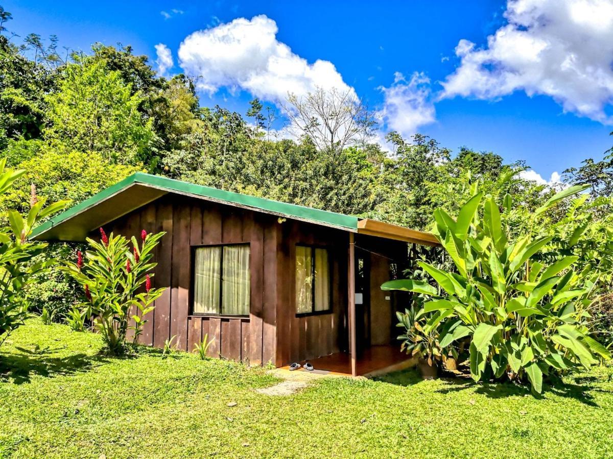 Cabanas Montanas Del Tenorio Rio Celeste Exterior photo