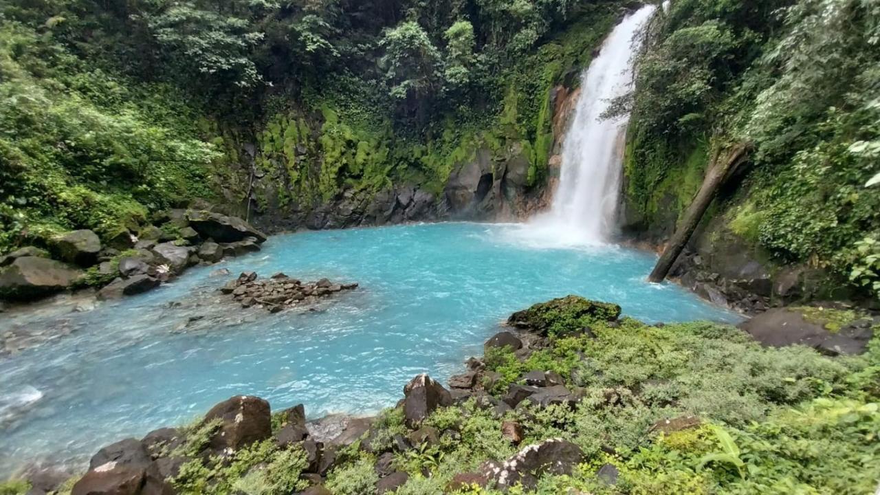 Cabanas Montanas Del Tenorio Rio Celeste Exterior photo